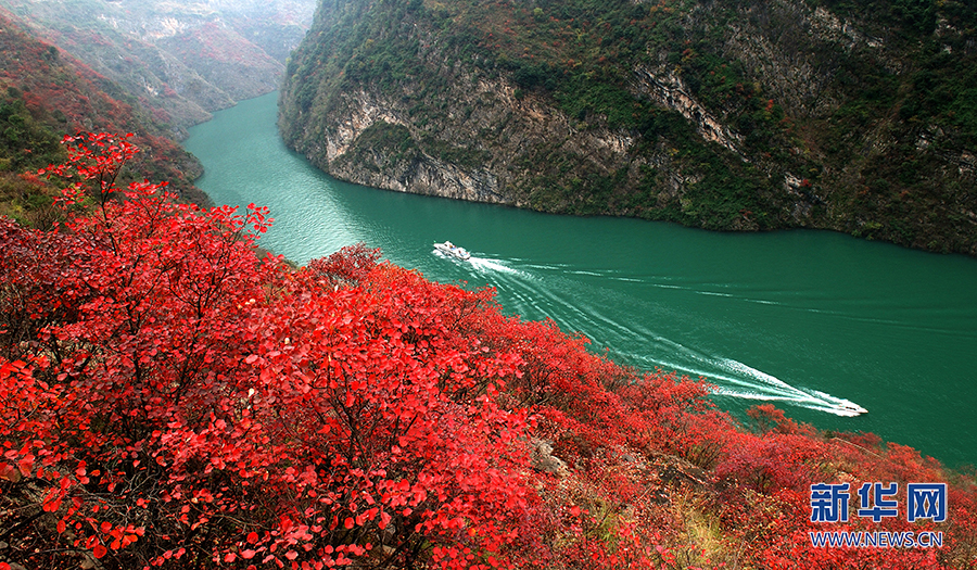 又到满山红叶时重庆巫山推13条线路游醉美三峡