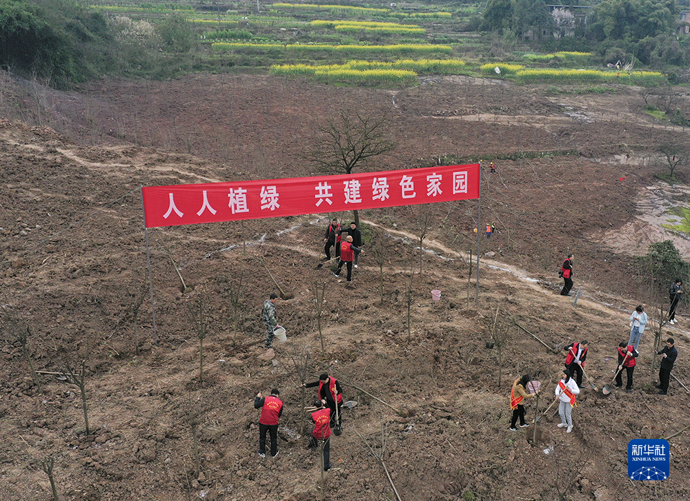 3月1日,参加义务植树活动的志愿者在植树(无人机照片.