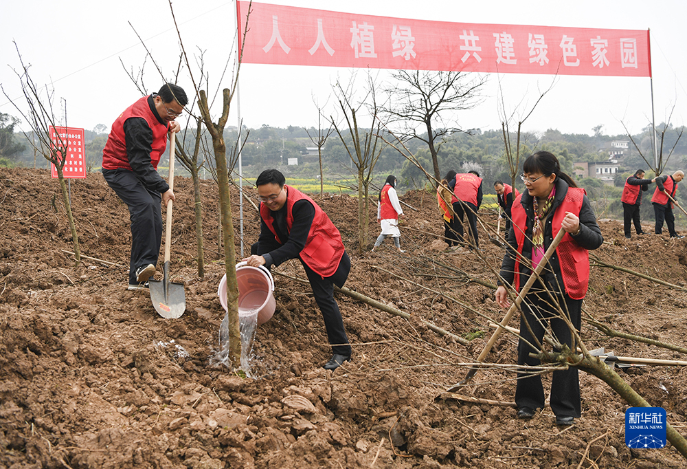 记者王全超摄这是3月1日拍摄的重庆璧山义务植树活动现场(无人机照片)