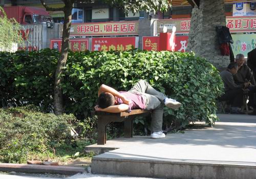 重庆市花卉园:看看公园里的不文明行为