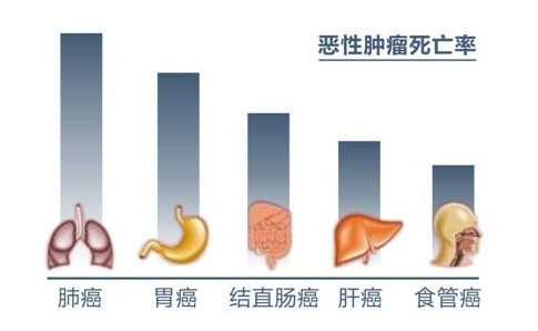 肛肠医院排行_深圳市中医肛肠医院(福田)全市满意度排名第一(2)