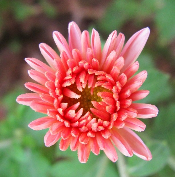 什么老是出现便秘呢_重庆奥林中医肛肠医院--