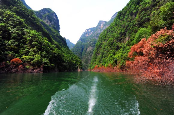 新华重庆旅游 | 重庆旅游