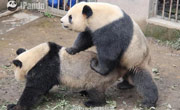 图揭大尺度抗日神剧:寡妇<em>自摸</em> 惊现<em>裸女</em> 亲吻断