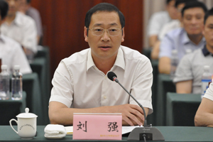 重庆市政府副市长刘强参加专题询问会