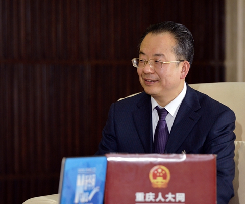 新华专访重庆市人大代表,武隆区委书记 何平