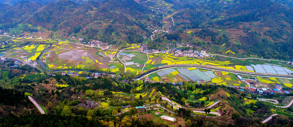 重庆梁平发展乡村旅游 曲水镇化身花的海洋