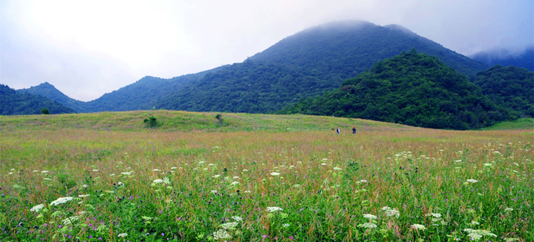 开州雪宝山 雪宝山位于重庆市开州区北部,是集观光旅游休闲度假,娱乐