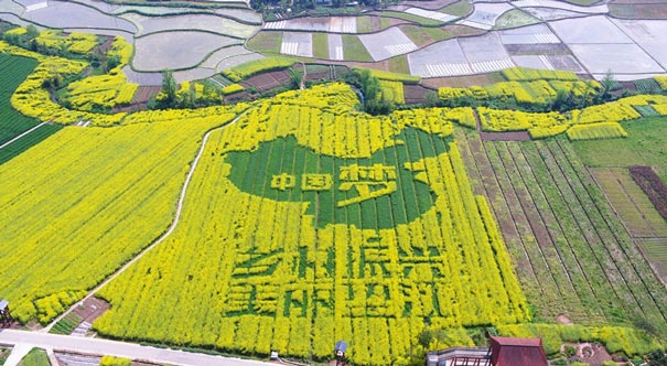 春日垫江万亩田园种出乡村振兴新图景