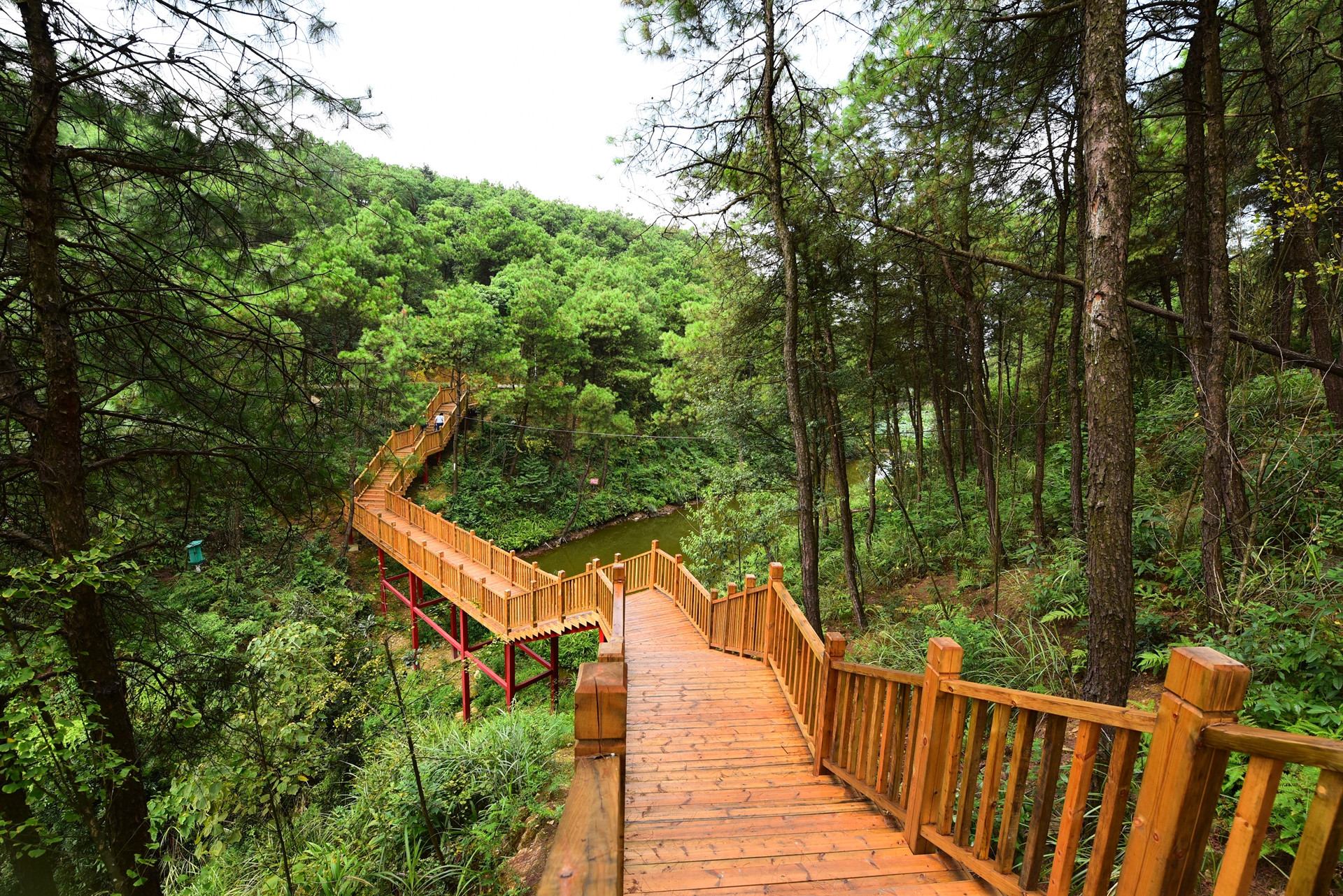 玉峰山临崖步道更是一抹独特的靓丽风景,行走其间,洗心涤肺,让你忘却