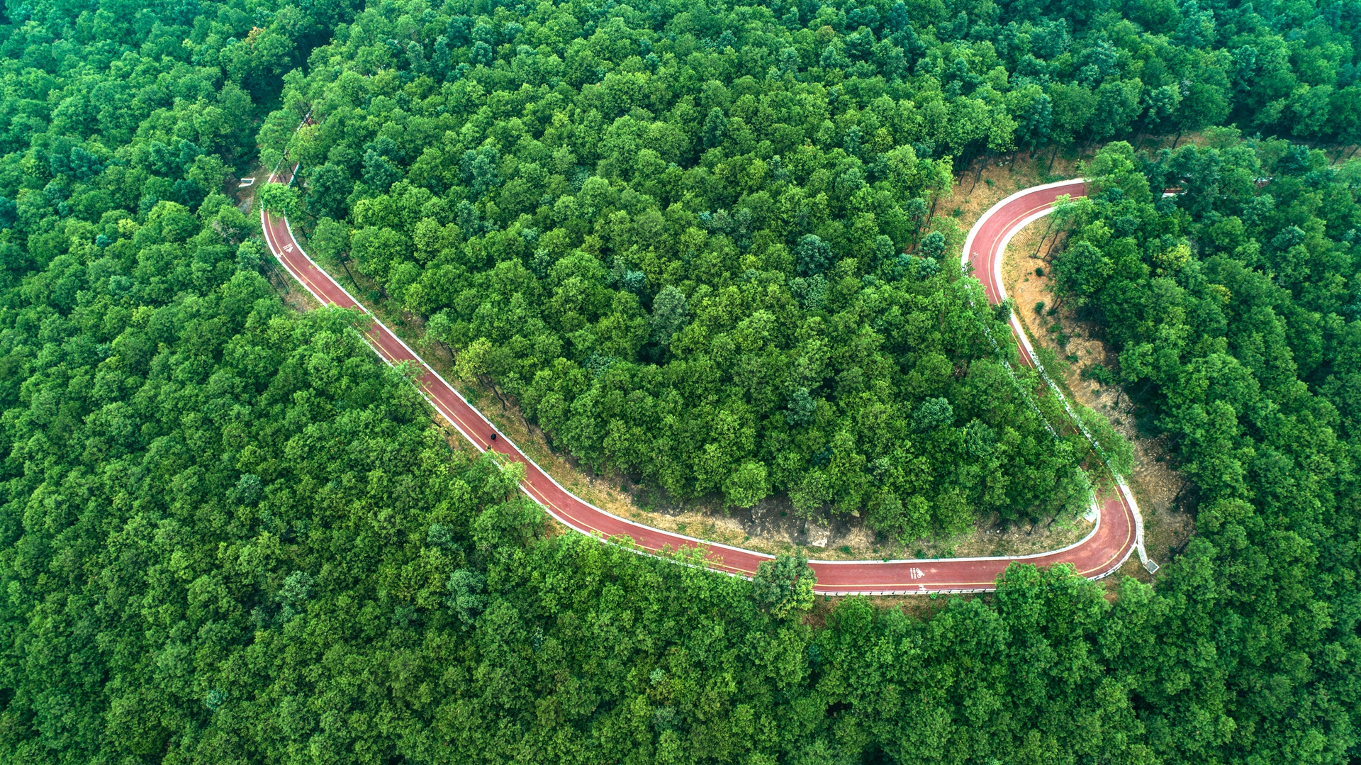 在对玉峰山森林公园提档升级中,渝北区林业局科学合理规划建设观景