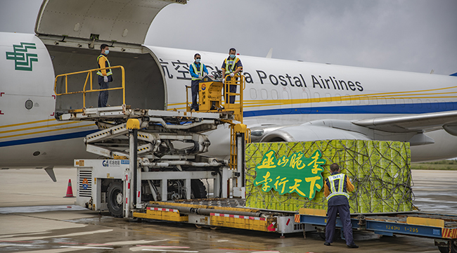 重庆巫山机场开通农产品脆李货运航班