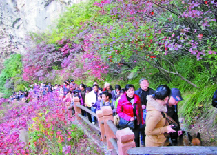 巫山县县城人口_巫山县城-这群云阳人真会玩,去巫山,赏红叶 吃农家饭,还有.